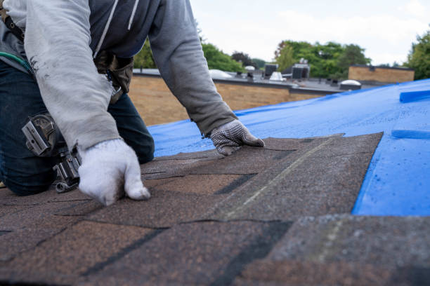 Best Metal Roofing Contractor  in Macungie, PA
